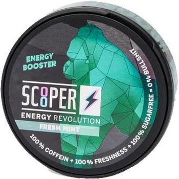 Scooper Fresh Mint